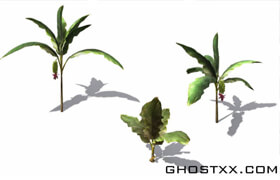 Xfrog 热带植物模型库