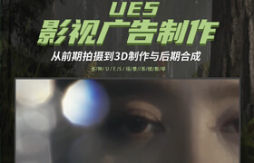 【正版】UE5影视广告制作—前期拍摄到3D制作与后期合成【海滩/沙漠/森林/自然环境等】
