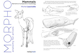 Michel Lauricella - Morpho Mammals (English) - book