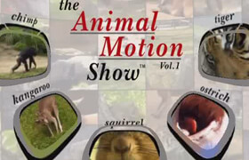 The Animal Motion Show Vol 2