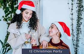 12 Christmas Party Lightroom Presets