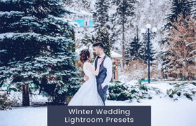 Winter Wedding Lightroom Presets