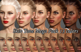 Reallusion Marketplace - Skin Tone 13 Pack - 材质