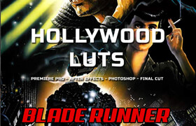 Hollywood LUTs - Blade Runner