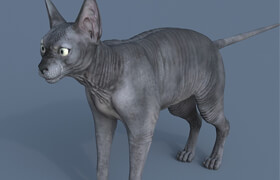 Sphynx Cat Maya Rig - 3dmodel