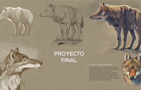 Domestika - Naturalist Animal Illustration with Procreate