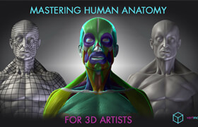 Udemy - Mastering Human Anatomy For 3D Artists