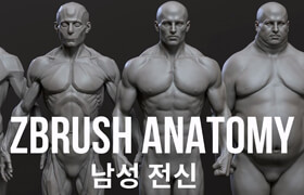 CGbump - Zbrush 중급 Anatomy (남성) - 男性