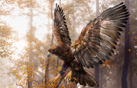 Turbosquid - Rigged 3D Golden Eagle Fur Models