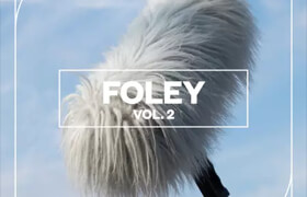 Blastwave FX - Foley Vol. 2 - 声音素材