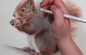 Udemy - Realistic Drawings With Watercolor Pencils Beginner's Guide
