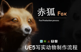 【正版】《赤狐》四足动物CG角色制作全流程教学 【ZB+MayaXgen+UE5】