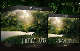 Boom Library - Tropical Jungle