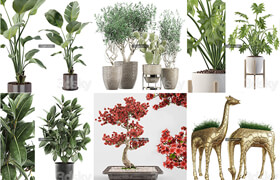 50套植物盆栽和装饰品模型合集