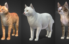Sketchfab - Cat Bundle - Blender & FBX - 3dmodel