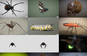 Sketchfab - Insects, Bettles and Spiders Bundle - Blender & FBX - 3dmodel
