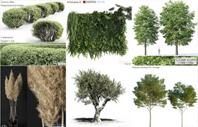 20套植物盆栽模型合集