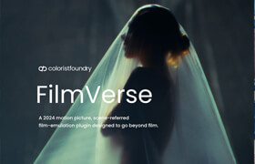 Colorist Foundry Filmverse