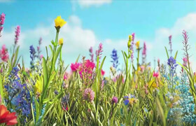 Udemy - Blender Geometry Nodes for Beginners - Foliage Scatter