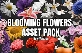 Blooming Flowers - Geo Nodes Curve Asset Pack