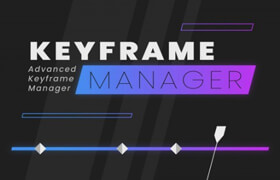 Keyframe Manager