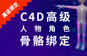 【正版】C4D高级人物角色骨骼绑定教程