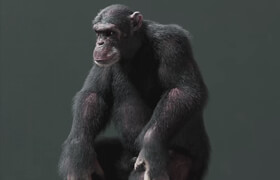 Udemy - Master Cg Creature Creation