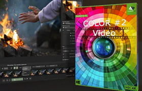 COLOR Video #2 professional