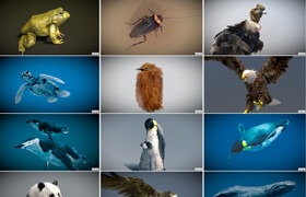 Sketchfab - Animals - 模型