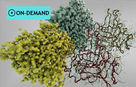 Houdini.School - HS-227 - Visualizing Protein Data Bank Information (2023) with Kate Xagoraris