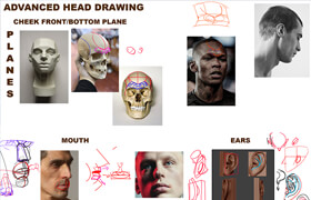 IAMAG - Foundations of Head Drawing - From Proportions to Realistic Details with Ognjen Sporin