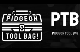 Pidgeon Tool Bag