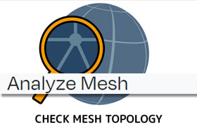 Analyze mesh