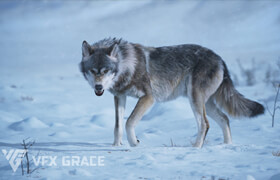 VFX Grace - Wolf Animation - 模型