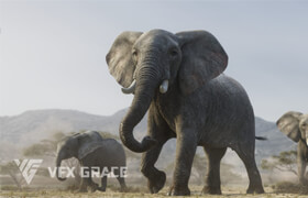 VFX Grace - African Elephant Animated