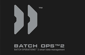 BATCH OPERATIONS