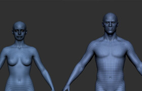 Gumroad - Pro Male and Female Basemesh 45K - 模型