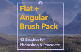 Artstation - Flat+Angular Brush Pack 42 Stylized Brushes for Photoshop & Procreate + Demo Videos