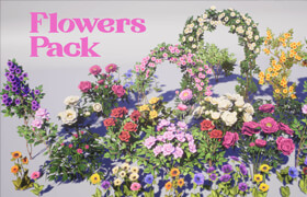 Renderhub - Flowers Pack Low-poly 3D model