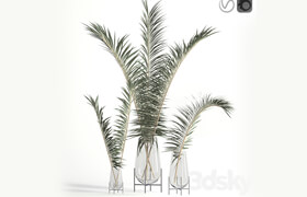 Dry palm leaves in Echasse vases