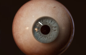 Gumroad - Eye model - John Singer Sargent project by Michael Cauchi - 模型