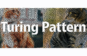 Turing Pattern