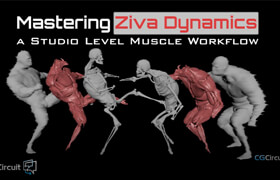 CGCircuit - Mastering Ziva Dynamics - A Studio Level Muscle Workflow