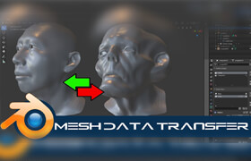 Mesh Data Transfer