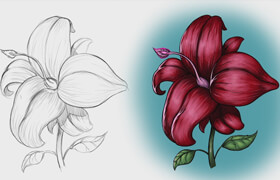 Udemy - How to Draw with Organic Forms