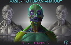 Udemy - Vertmode - Mastering Human Anatomy For 3D Artists