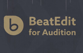 BeatEdit for Audition