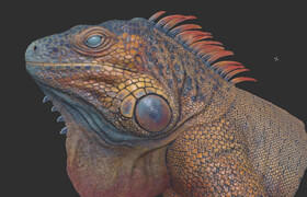 Artruism Digital - Organic Real Time Texturing in Substance Painter Full Course Iguana