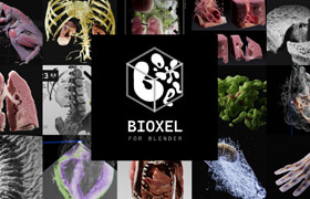 Bioxel Nodes