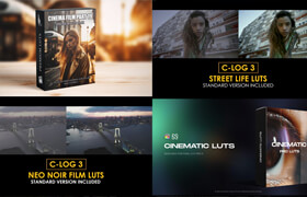 Envato Elements Videohive - LUTs for Final Cut Pro X v.1